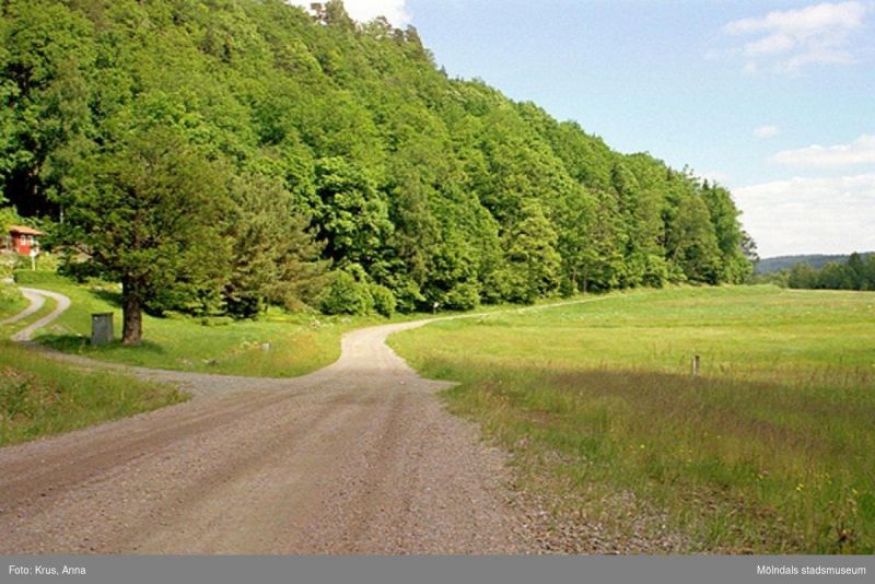 Fil:Grusväg 1999.jpg